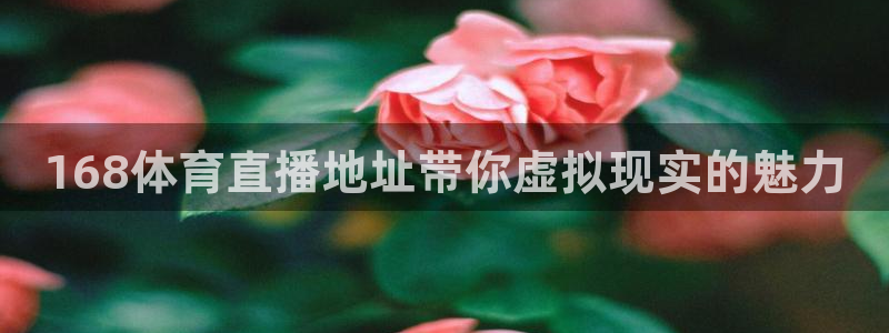 168体育直播地址带你虚拟现实的魅力