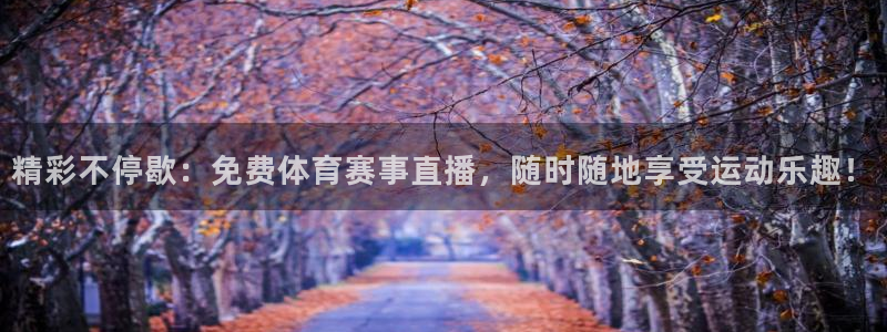 精彩不停歇：免费体育赛事直播，随时随地享受运动乐趣！