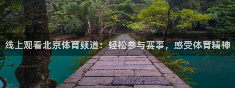 线上观看北京体育频道：轻松参与赛事，感受体育精神