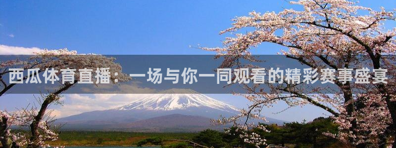 西瓜体育直播：一场与你一同观看的精彩赛事盛宴
