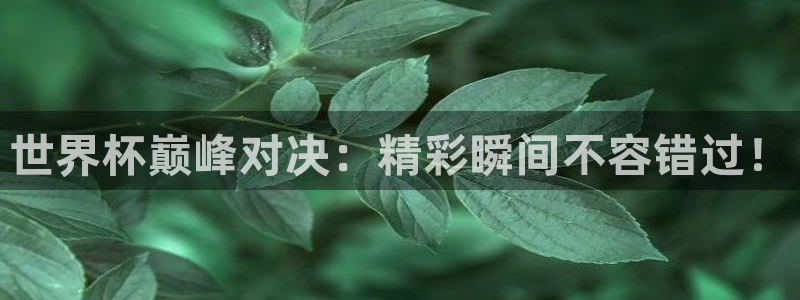 世界杯巅峰对决：精彩瞬间不容错过！