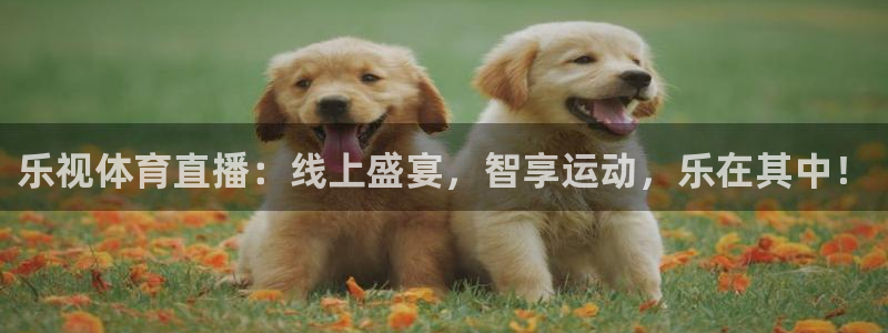 乐视体育直播：线上盛宴，智享运动，乐在其中！
