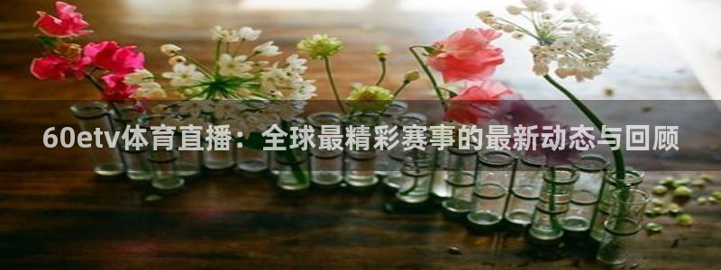 60etv体育直播：全球最精彩赛事的最新动态与回顾