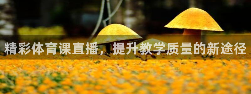 精彩体育课直播，提升教学质量的新途径