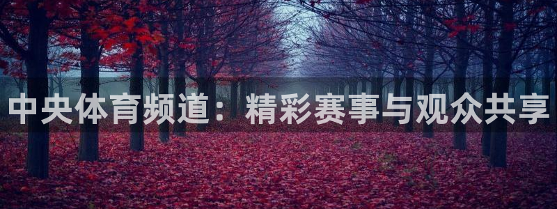 中央体育频道：精彩赛事与观众共享