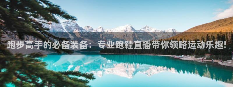 跑步高手的必备装备：专业跑鞋直播带你领略运动乐趣!