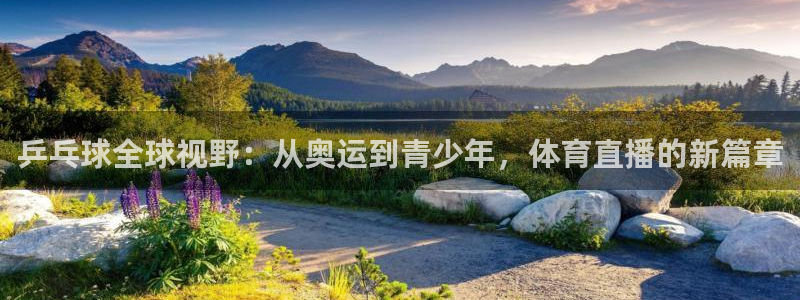 乒乓球全球视野：从奥运到青少年，体育直播的新篇章