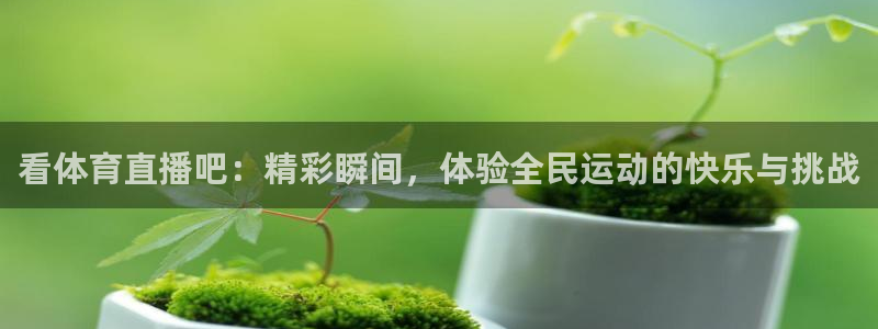 看体育直播吧：精彩瞬间，体验全民运动的快乐与挑战