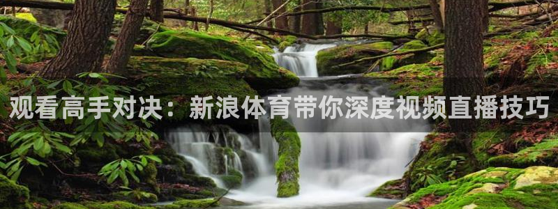 观看高手对决：新浪体育带你深度视频直播技巧