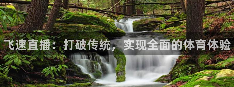 飞速直播：打破传统，实现全面的体育体验