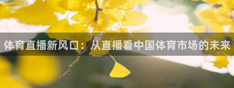 体育直播新风口：从直播看中国体育市场的未来